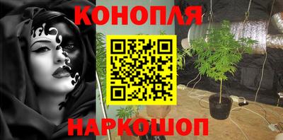 Альфа ПВП Дубна