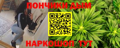 Альфа ПВП Дубна
