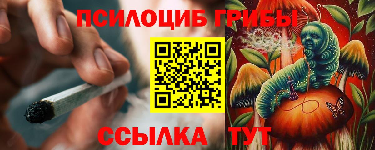 Мытищи  Галлюциногенные грибы MAGIC MUSHROOMS  Вход с VPN 
